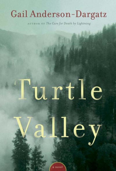 Turtle Valley / Gail Anderson-Dargatz.