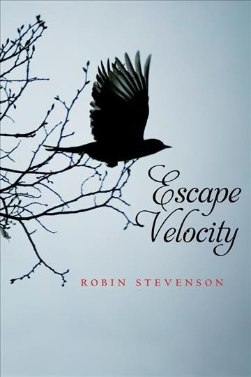 Escape velocity [electronic resource] / Robin Stevenson.
