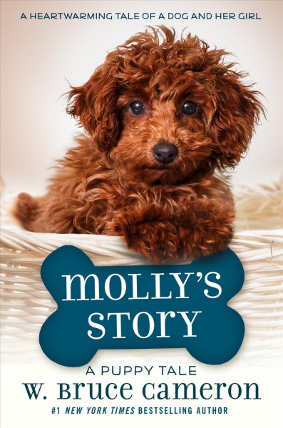 Molly's story / W. Bruce Cameron ; illustrations by Richard Cowdrey.