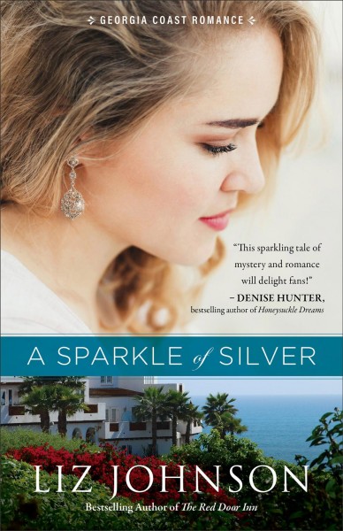 A sparkle of silver / Liz Johnson.
