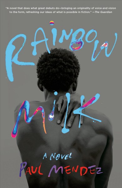 Rainbow milk : a novel / Paul Mendez.