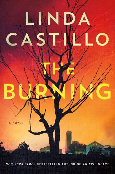 The burning : a novel / Linda Castillo.