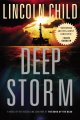 Go to record Deep Storm : a novel