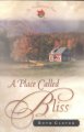 A place called Bliss a novel  Cover Image