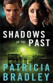 Go to record Shadows of the past : a novel