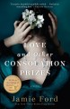 Love and other consolation prizes : a novel  Cover Image