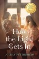 How the light gets in : a novel  Cover Image
