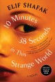 10 minutes 38 seconds in this strange world  Cover Image