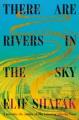 There are rivers in the sky : a novel  Cover Image